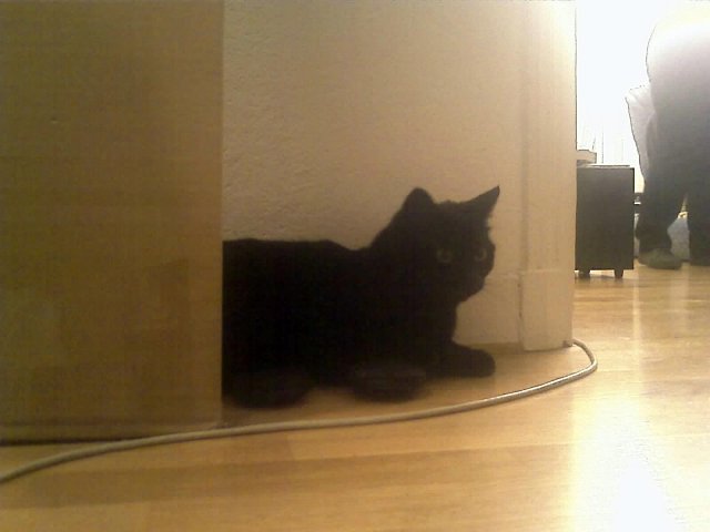 2008-03-05 500Go_l.jpg